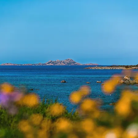 Marineledda Bellucci * Marinella (Sardinia)